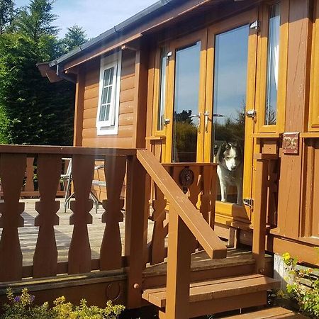 Cabin Lägenhet Trawsfynydd Exteriör bild