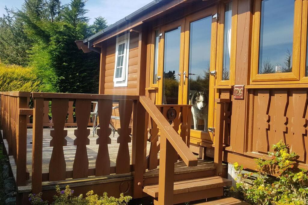 Cabin Lägenhet Trawsfynydd Exteriör bild